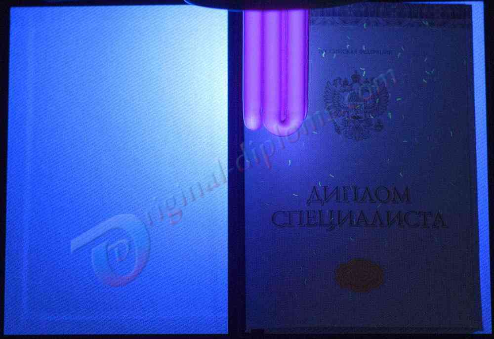 Диплом специалиста 2014-2026